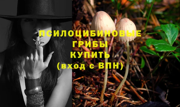 Альфа ПВП Балабаново
